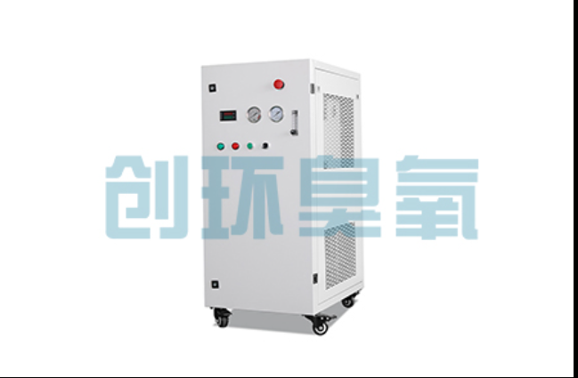 乐东工厂化养鲈必看:2026年臭氧发生器替代传统消毒的最新方案
