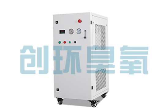 乐东石斑鱼养殖水质调控完整指南:臭氧发生器配置与操作步骤