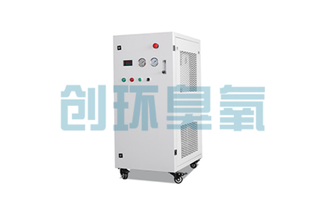 乐东比传统换水更高效?臭氧发生器在石斑鱼养殖中的水质净化原理解析