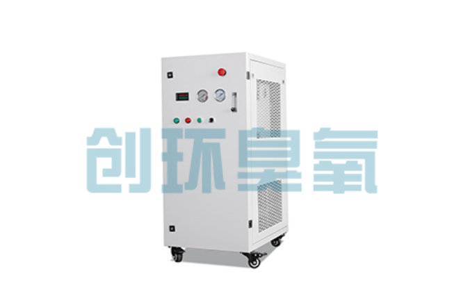 乐东比传统换水更高效？臭氧发生器在石斑鱼养殖中的水质净化原理解析